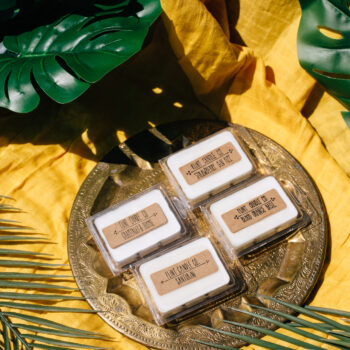 summer wax melt bundle